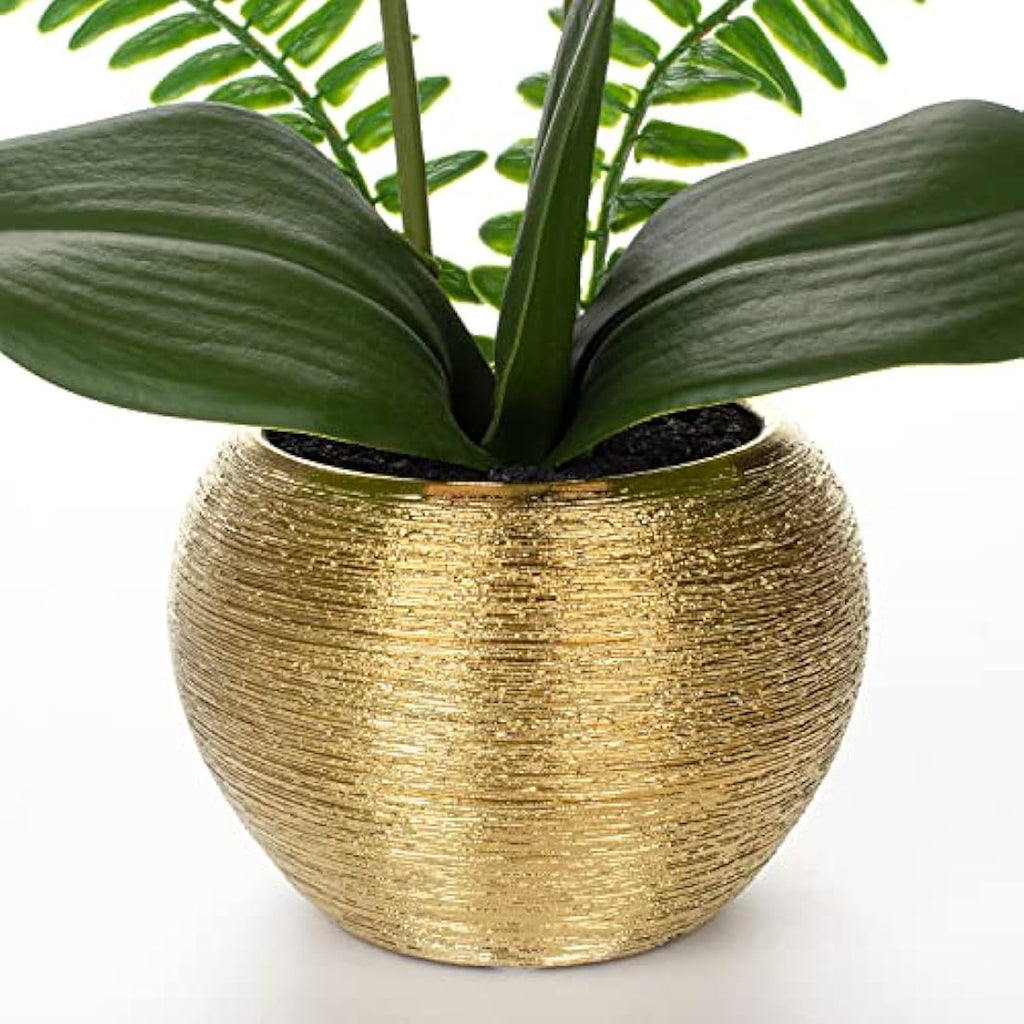 White Artificial Orchid Plant | Real Touch Potted Flowers