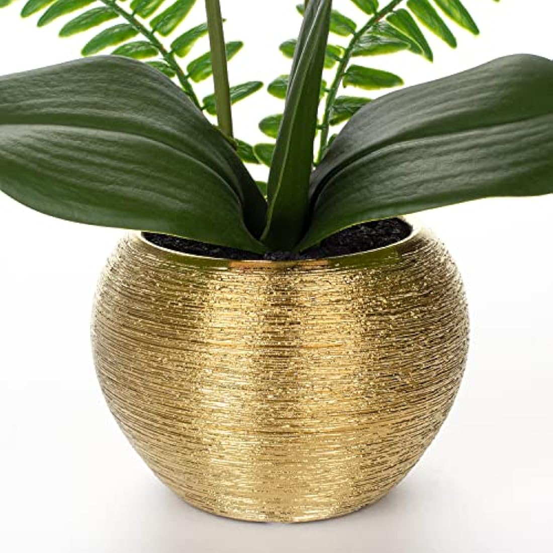 White Artificial Orchid Plant | Real Touch Potted Flowers