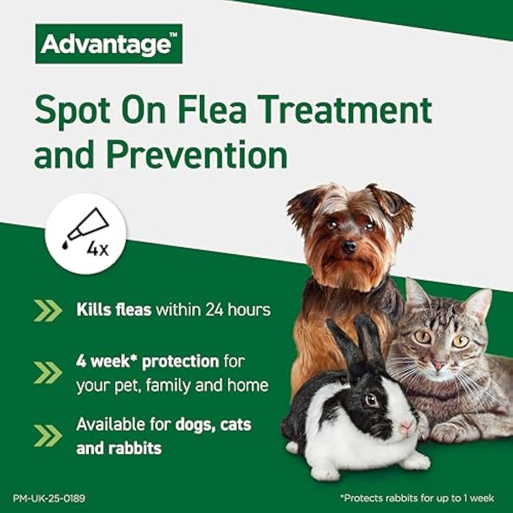 Advantage Flea Treatment for Large Cats and Rabbits Over 4kg | 4 Pipettes