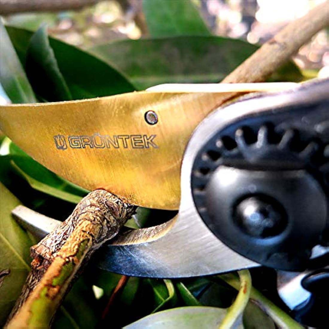 GRÜNTEK Z-25 Bypass Secateurs – 215mm Japanese SK5 Steel Garden Shears