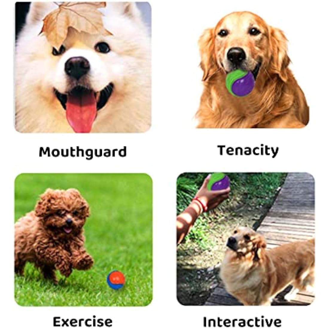 Jolof Store Squeaky Dog Ball 6-Pack – Durable TPR Rubber Teeth Cleaning Toy