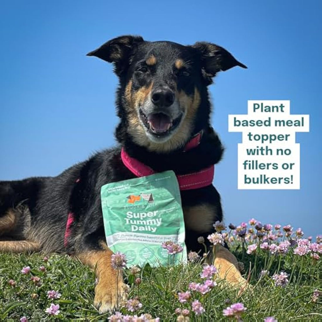 Buddy and Lola Dog Probiotics Powder | Soil Based Gut Health Supplement