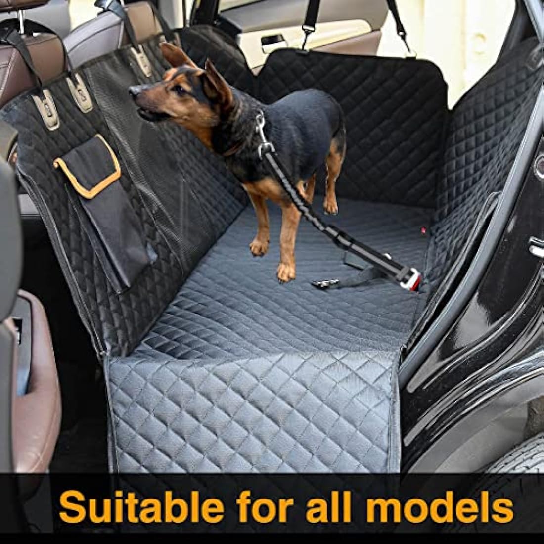 Dog Car Seat Belt – Adjustable Nylon Bungee Buffer, Orange, 2 Pack
