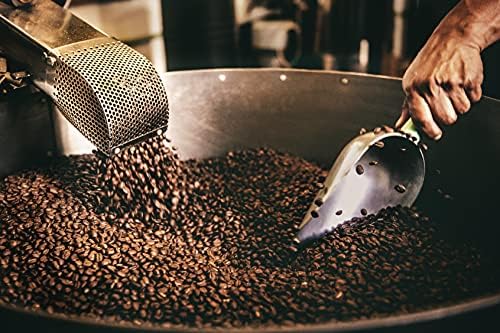 Scott&Co. Coffee Bean Gift Set | 10 Variety Taster Pack | 600g Hand Roasted