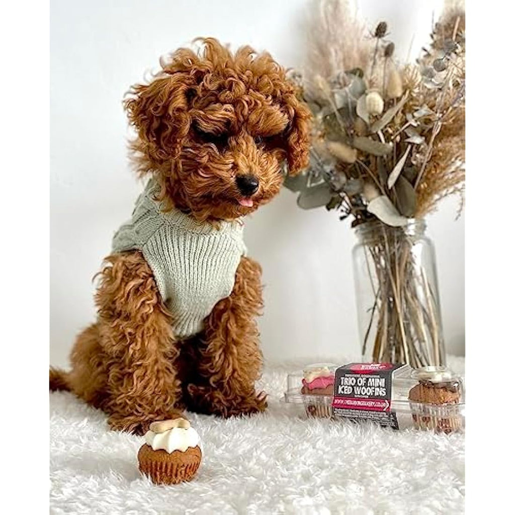 The Barking Bakery Trio of Mini Iced Woofins – Gourmet Dog Cupcakes