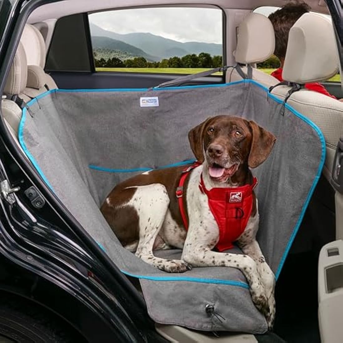 Kurgo Heather Half Hammock Dog Car Seat Protector - Waterproof Charcoal