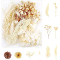 Natural Dried Flowers – Real Floral Bundle for DIY Crafts