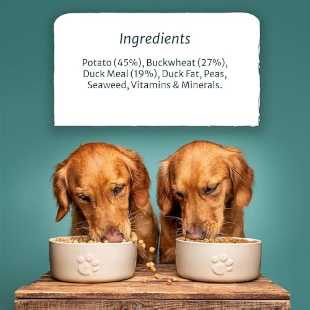Burns Pet Nutrition Grain-Free Duck & Potato Adult Dog Food - 12kg