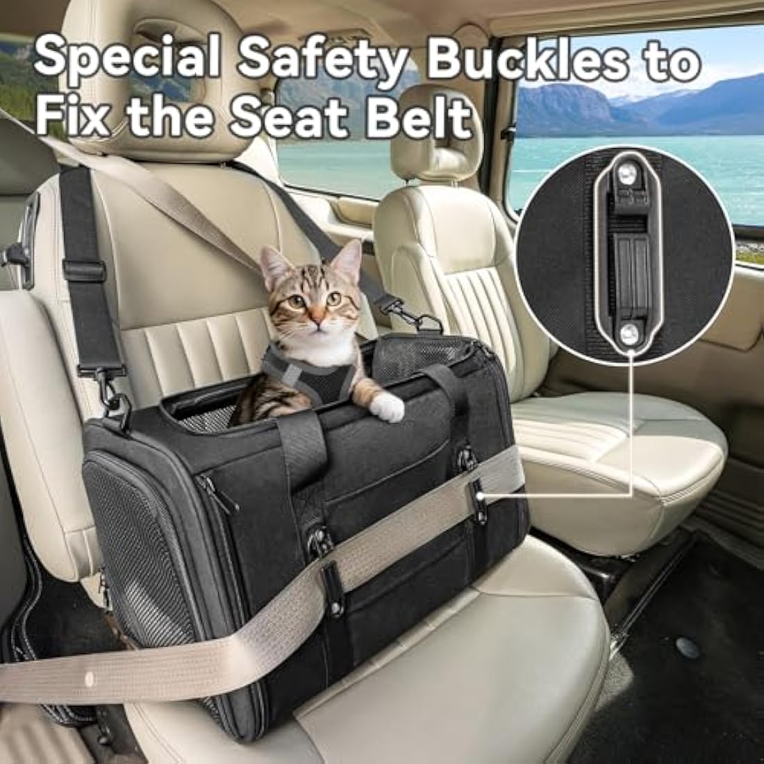 Petsfit Soft-Sided Cat Carrier – Car Safe Pet Travel Bag with Buckle