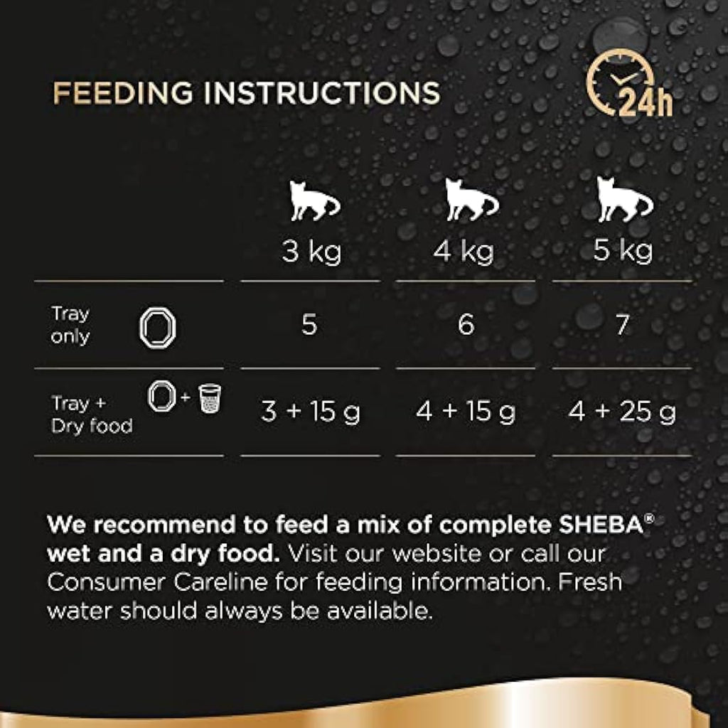 Sheba Perfect Portions Salmon Loaf Wet Cat Food - 12 x 37.5g Trays