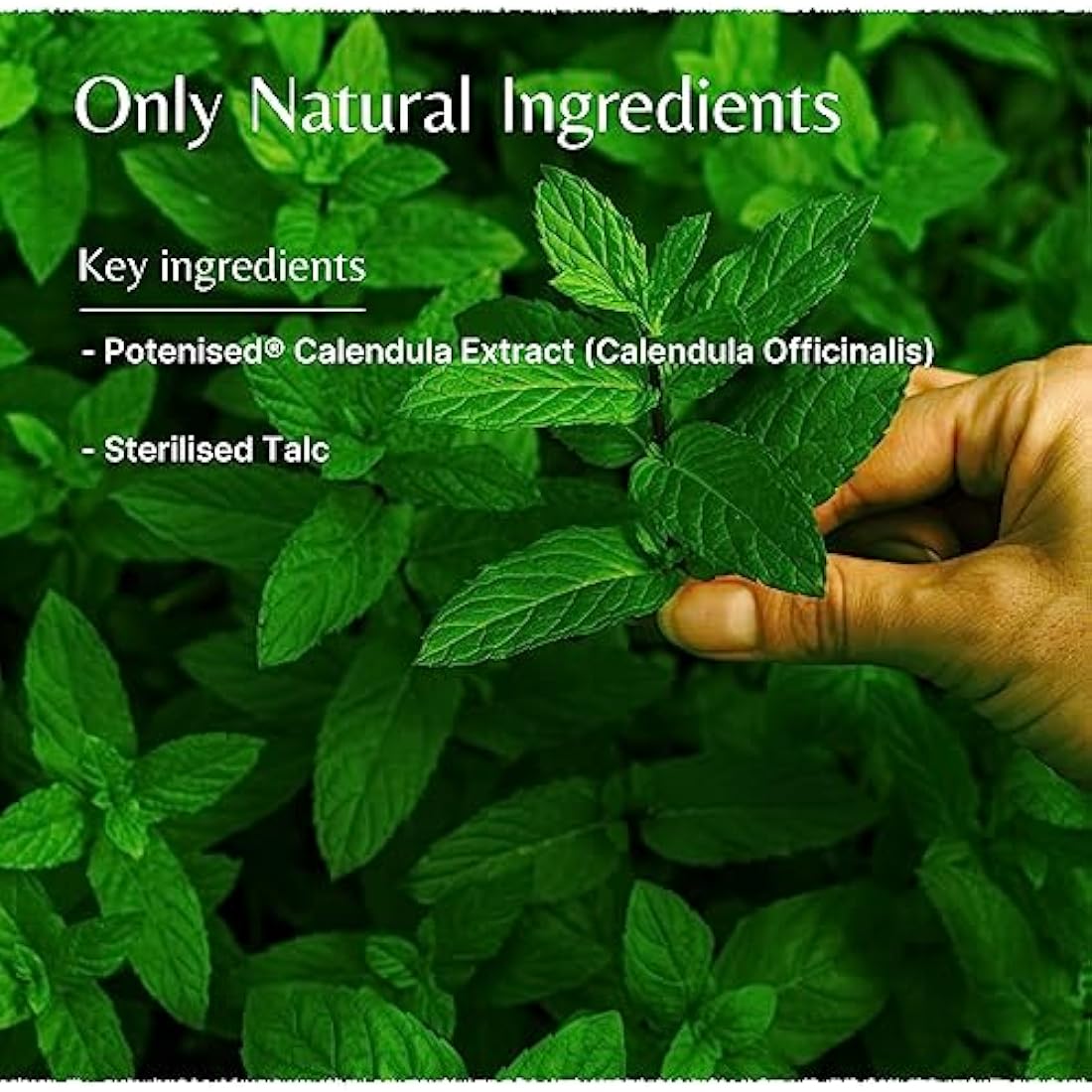 Mistry's Calendula Powder 150g | Natural Vegan Skin Relief for Rashes