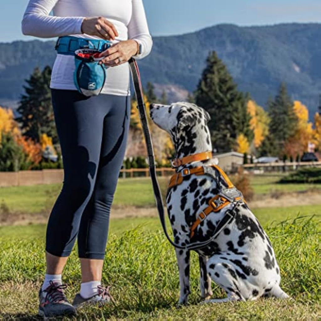 Kurgo Go Stuff It Dog Treat Pouch – Hands-Free Training Bag, Coastal Blue