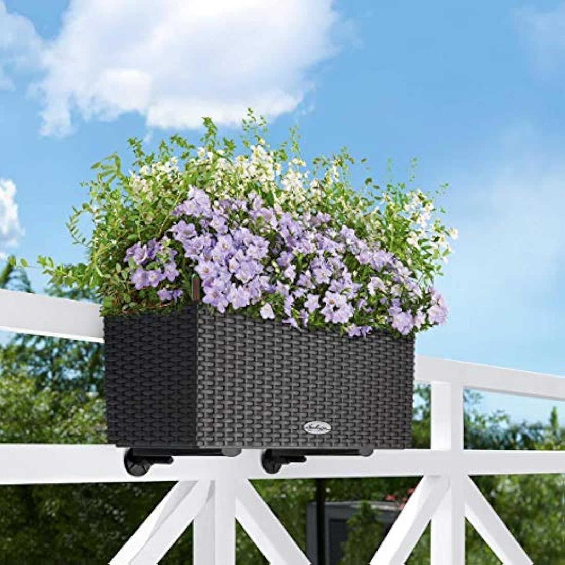 Lechuza Balcony Box Holder Set – Heavy Duty Railing Brackets, Black