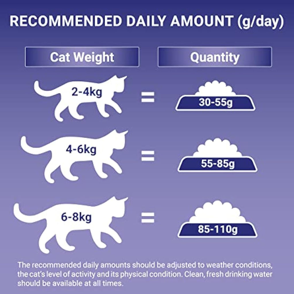 Purina ONE Sensitive Dry Cat Food – Turkey & Rice – 3kg (Case of 4)