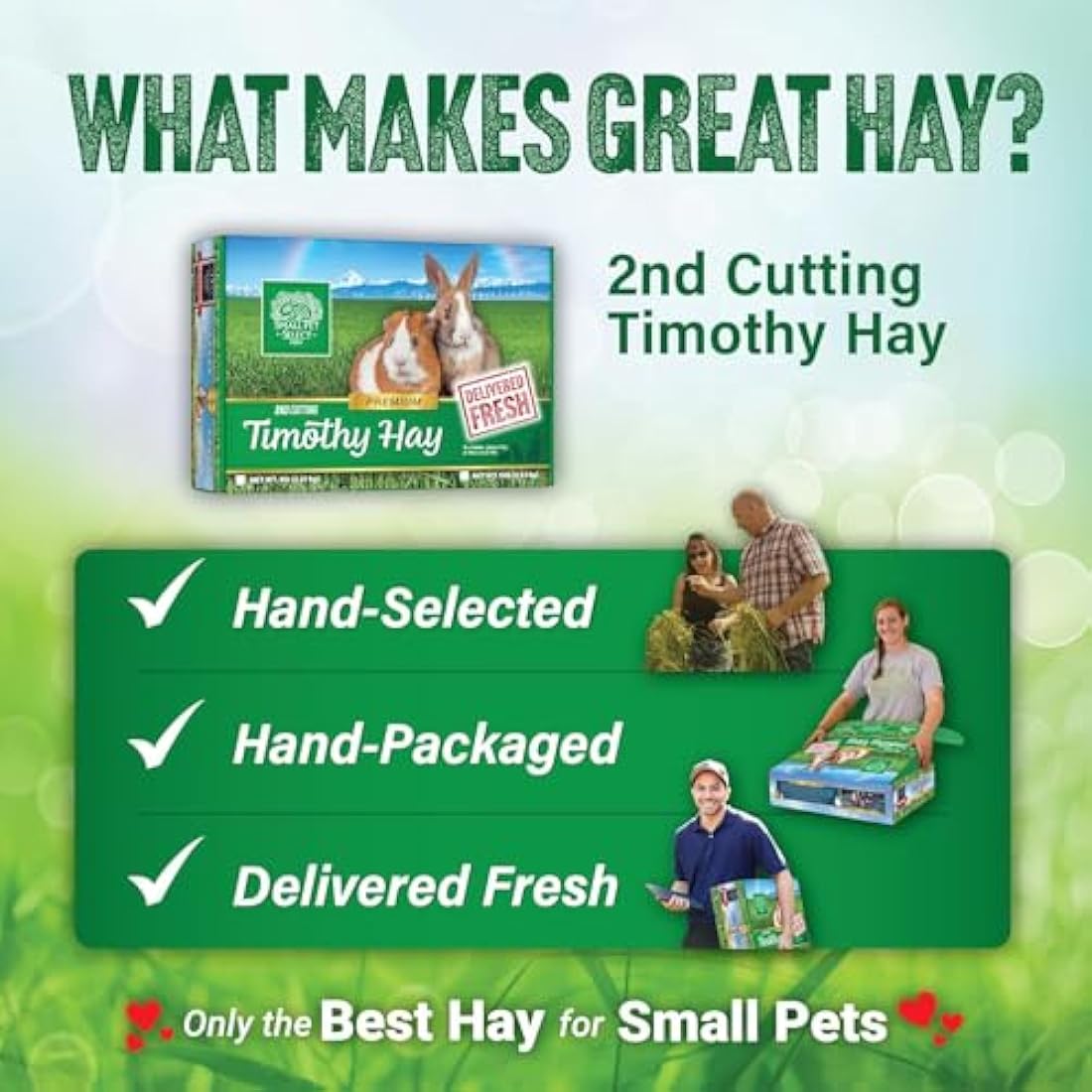 Small Pet Select 2nd Cutting Timothy Hay for Rabbits - 5 LB