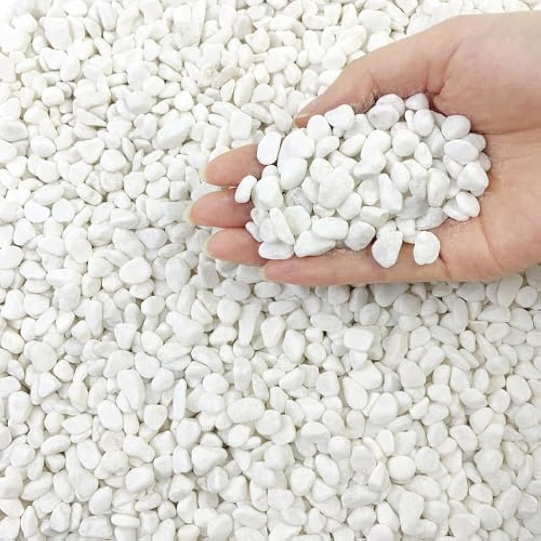 FANTIAN Natural White Gravel Pebbles | 6-9mm Decorative Stones, 10lbs