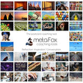 metaFox Putting People First Postcards – Eco-Friendly Artistic Set