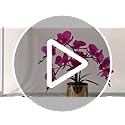 Jolof Store White Artificial Orchid Bonsai | Faux Phalaenopsis with Vase