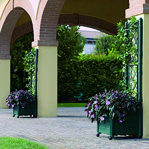 Stefanplast Italia Rectangular Climbing Planter with Trellis - Anthracite