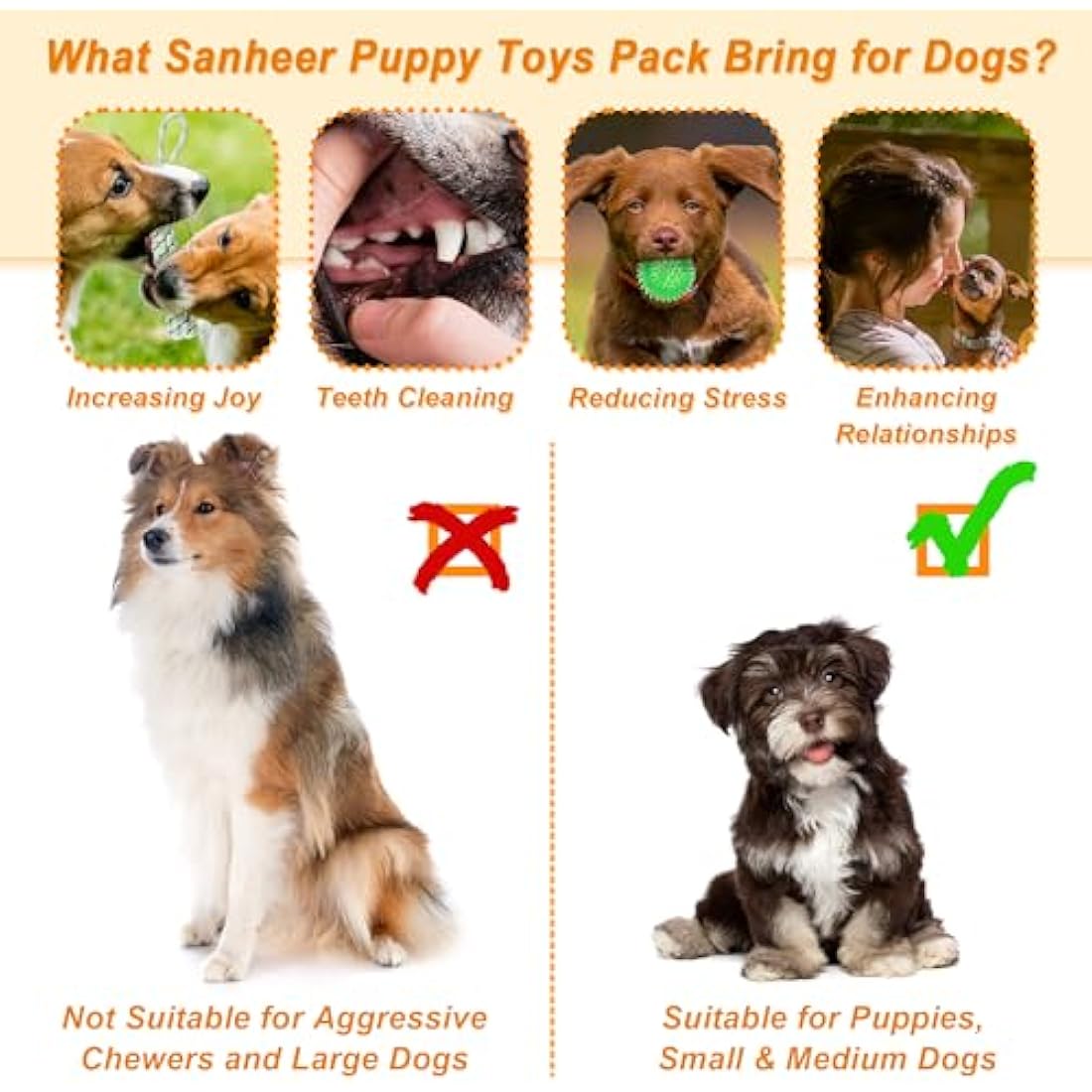 Jolof Store 24-Piece Puppy Toy Set with Storage Bin - Teething & Training