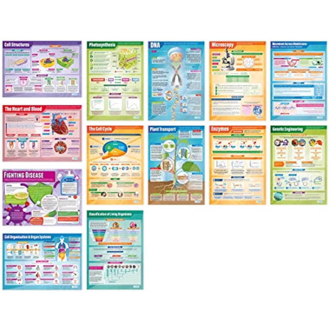 Daydream Education Biology Posters - Set of 13 A1 Science Charts