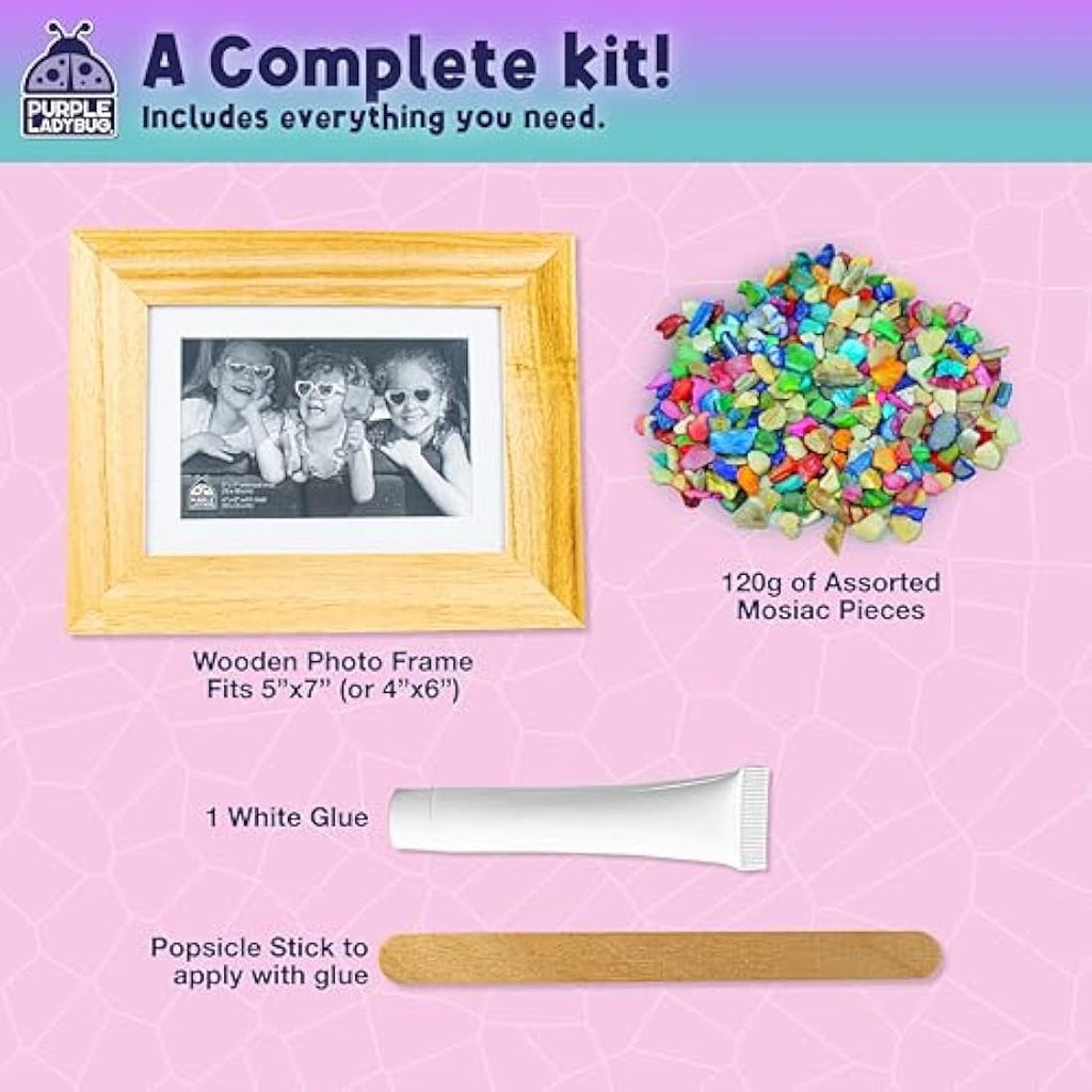 Purple Ladybug Mosaic Photo Frame Craft Kit for Kids Ages 6-12