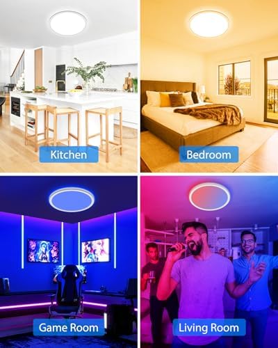 Peasur Smart RGB LED Ceiling Light - 24W Dimmable Flushmount Fixture