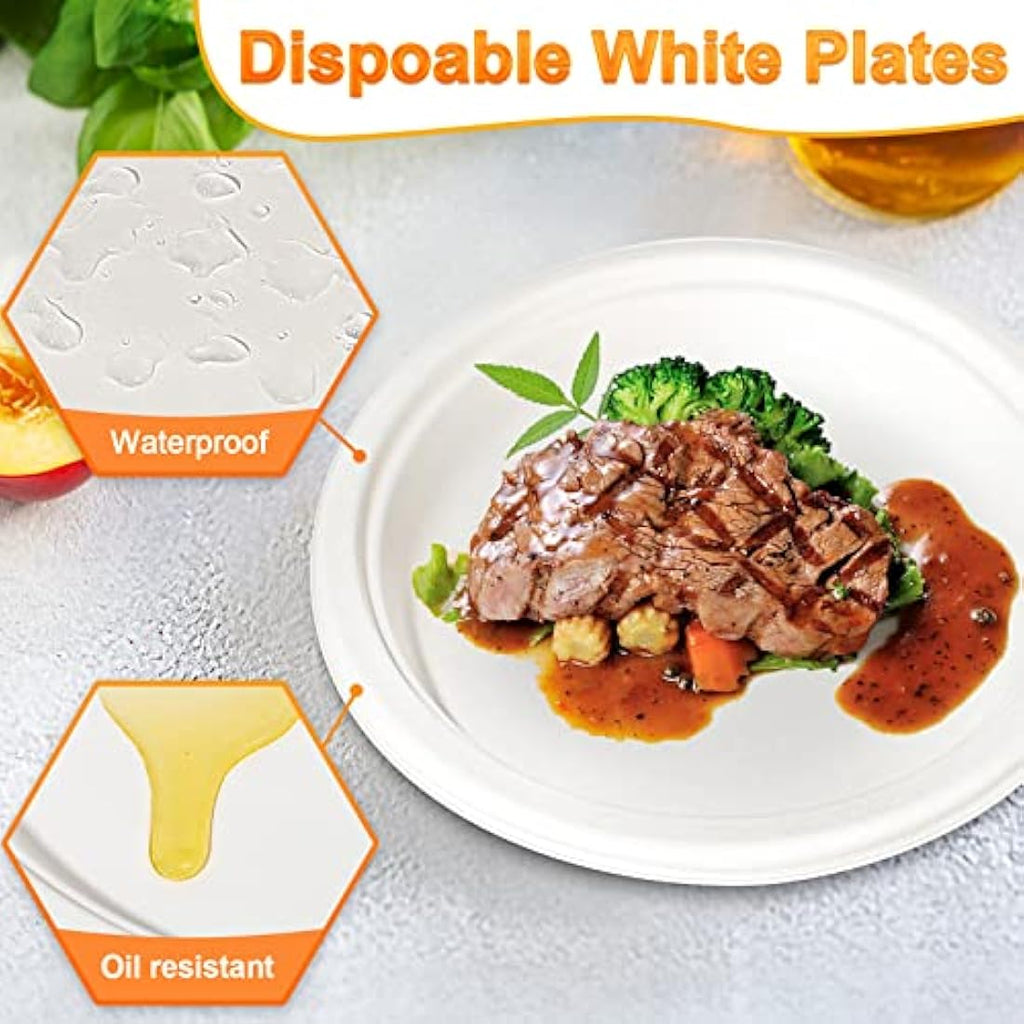 150 Pack Sugarcane Paper Plates – 10 Inch Compostable Dishes
