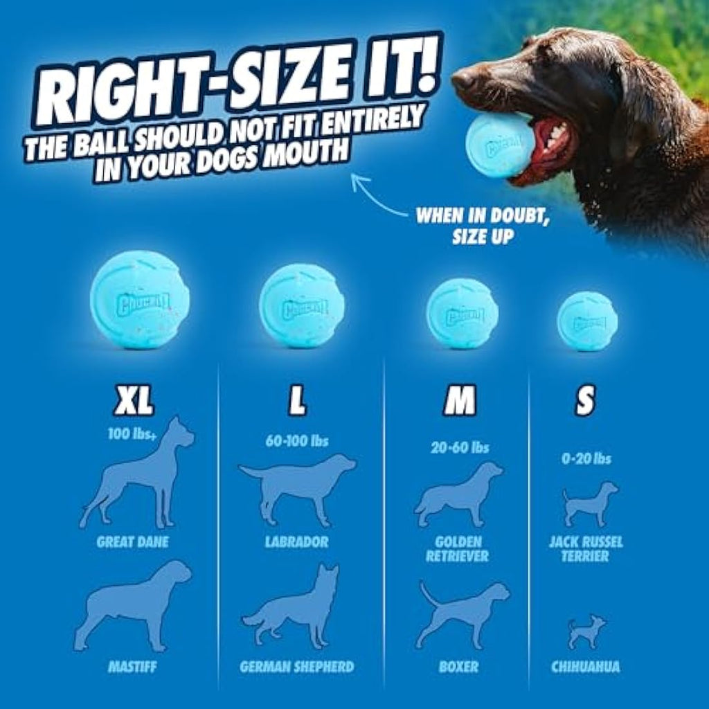 Chuckit! Rebounce Ball 2-Pack – Durable Rubber Fetch Dog Toy, Medium