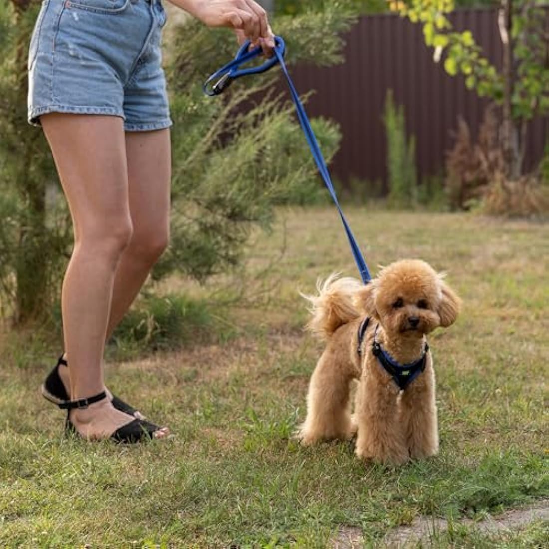 Ferplast Ergocomfort Small Dog Harness | Padded Nylon - Blue