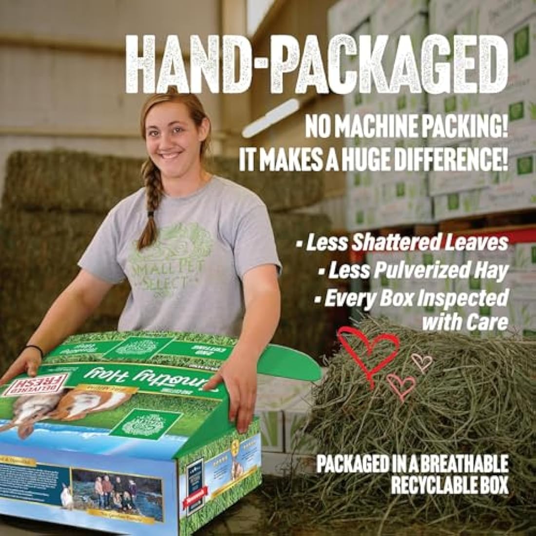 Small Pet Select 2nd Cutting Timothy Hay for Rabbits - 5 LB