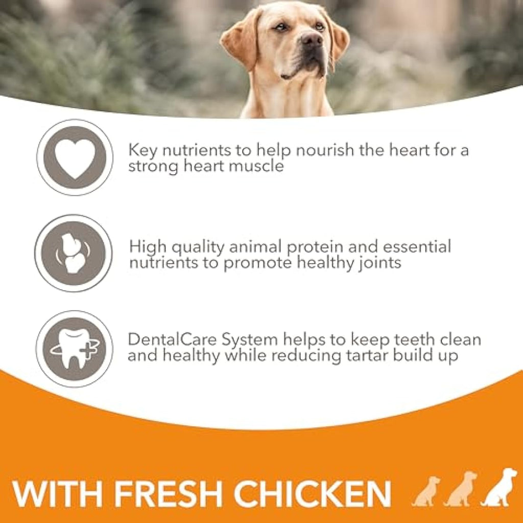 IAMS Senior Large Breed Dry Dog Food - Chicken & Wheat Free - 12kg