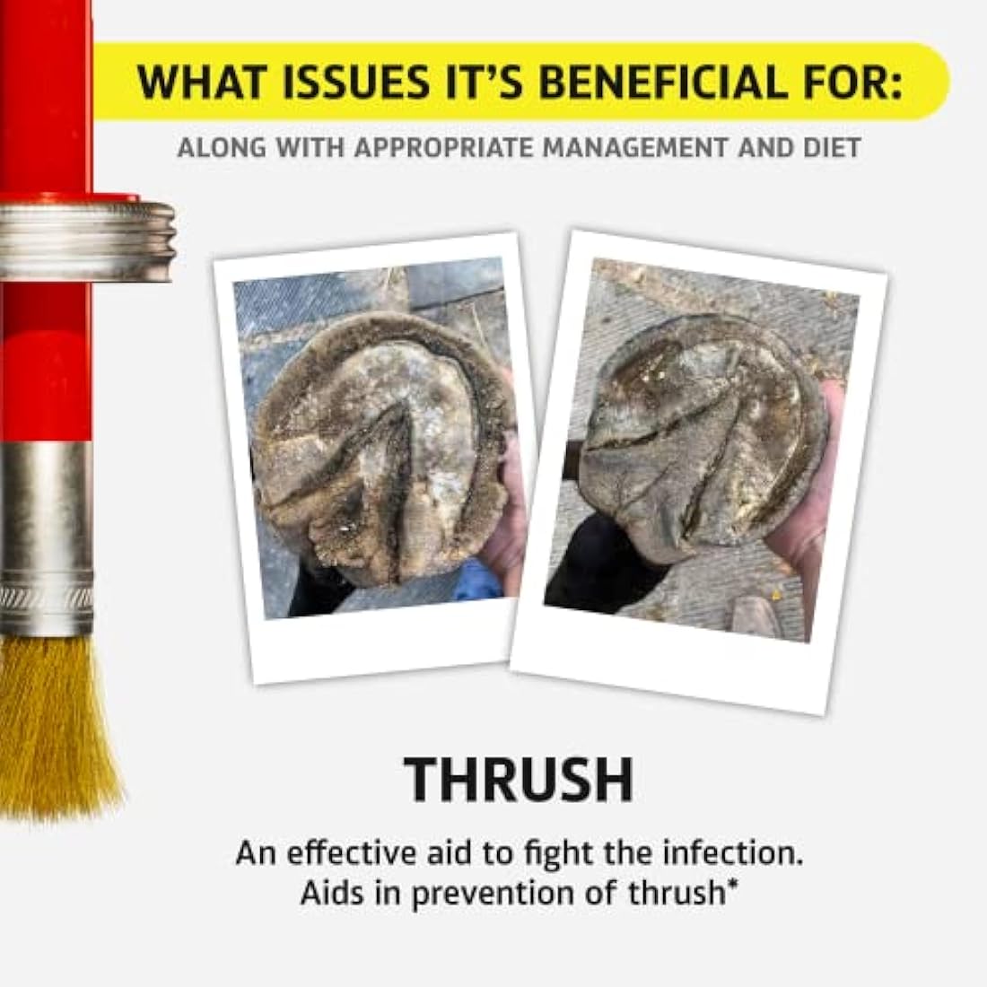 Hoof Doctor All-Natural Hoof Care with Birch Bark Extract - 16 Oz