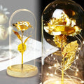 TINYOUTH 24K Gold Plated Rose in Glass Dome | LED Light Up Flower Gift