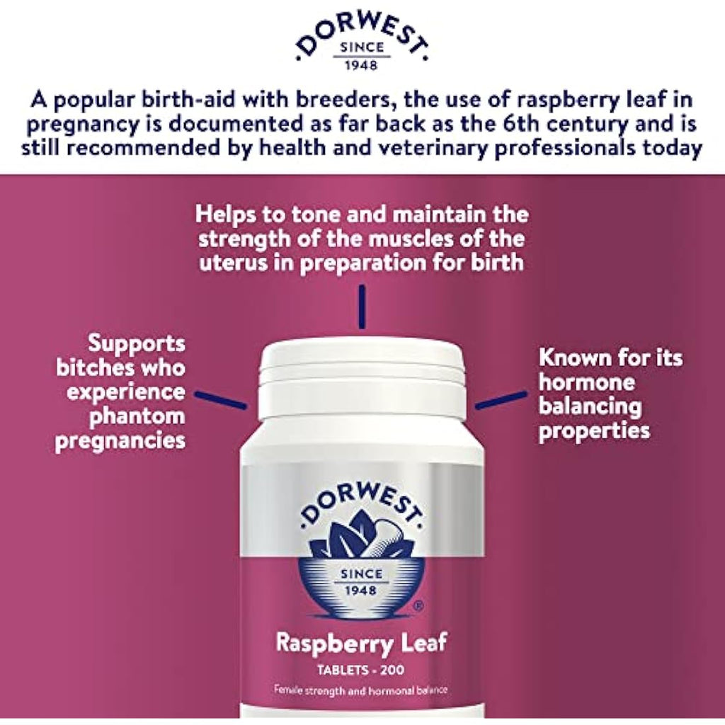 Dorwest Raspberry Leaf Tablets for Dogs & Cats - 200 Whelping Support