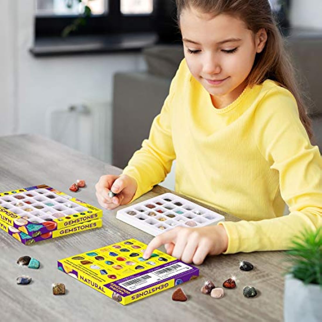 Jolof Store 25-Piece Rock and Gemstone Collection Kit for Kids – Geology Set
