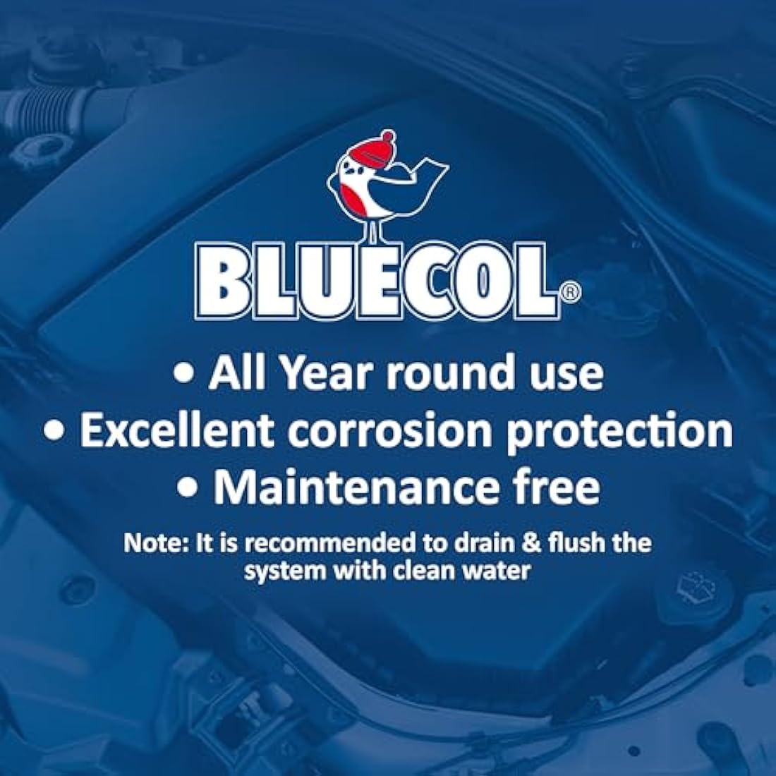 Bluecol OE 48 Engine Coolant – 1 Litre Concentrated Automotive Fluid