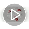 Vileda Turbo 2in1 Spin Mop Refill - Microfibre Mop Head, Pack of 2