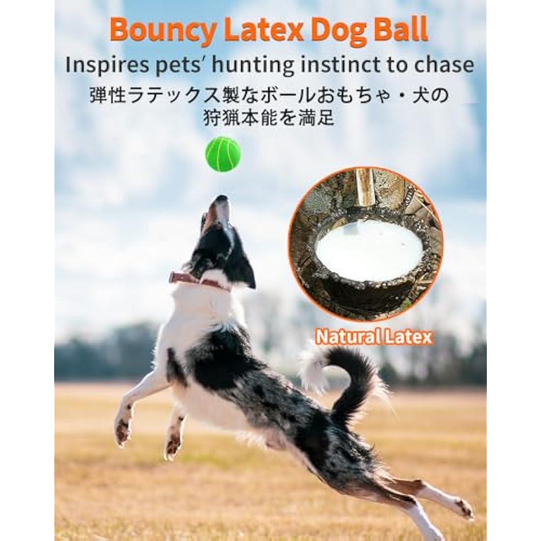 Squeaky Dog Balls – 4 Pack Soft Latex Rubber Fetch Toys