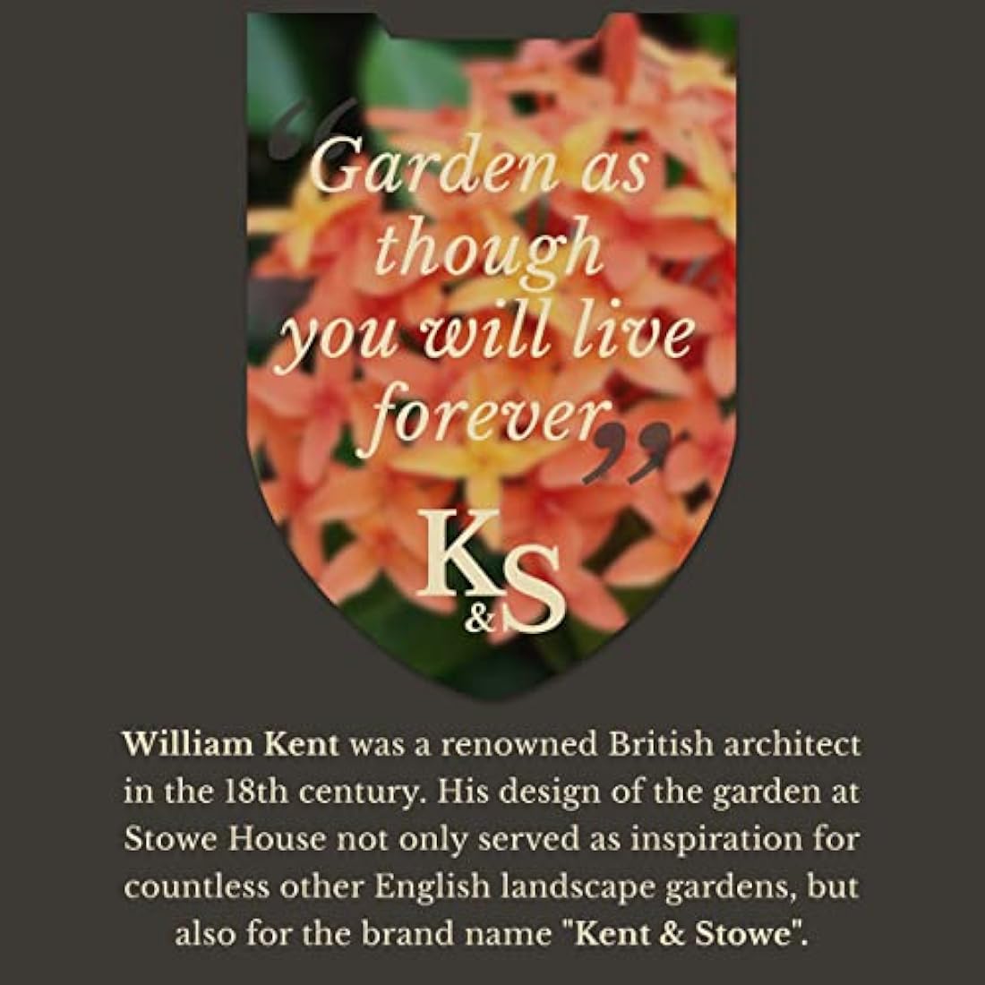 Kent & Stowe Stainless Steel Perennial Spade | Ash Wood Garden Tool