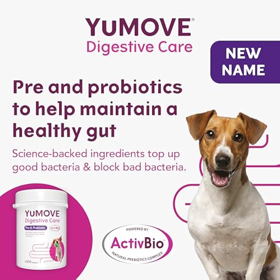 YuMOVE Digestive Care Dog Probiotics for Sensitive Gut Health – 300 Tablets