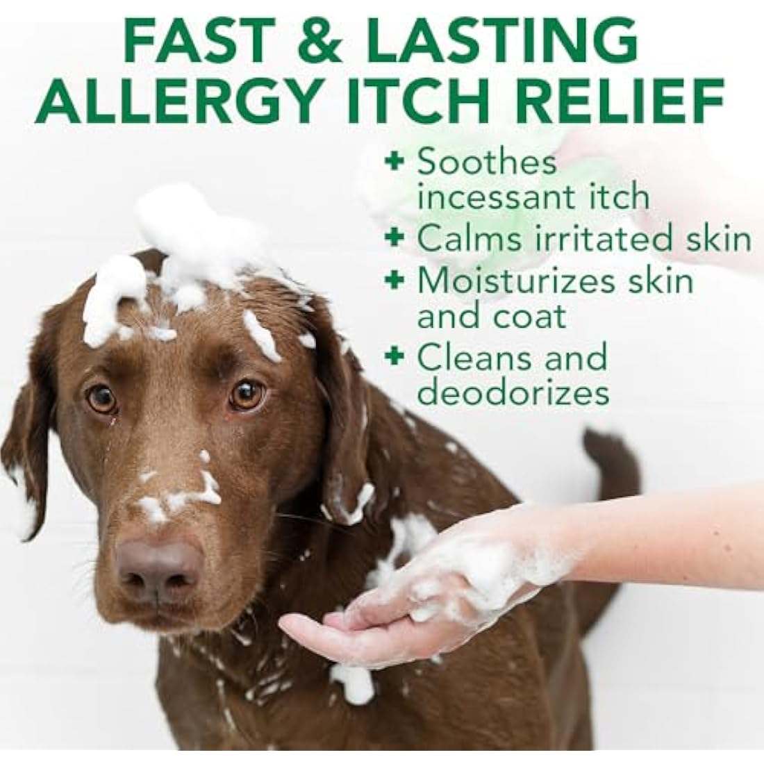 Vet's Best Allergy Itch Relief Dog Shampoo | Soothing Oatmeal & Tea Tree