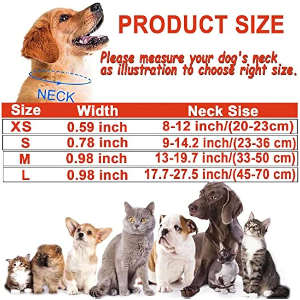 Reflective Nylon Dog Collar – Padded & Adjustable, Orange, Medium