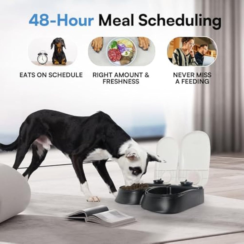 Pawise Automatic Pet Feeder - 2-Meal Timed Dispenser with Ice Pack
