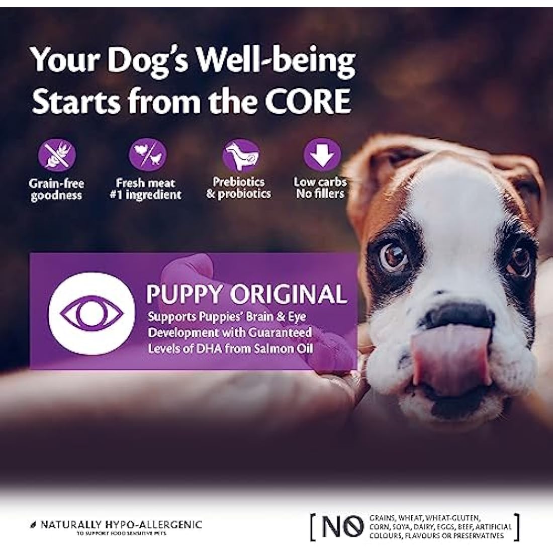Wellness CORE Puppy Food - Grain-Free Turkey & Chicken Dry Food, 10kg