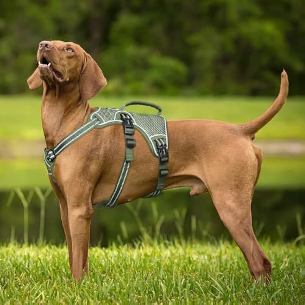 Escape Proof Dog Harness | No Pull Reflective Vest - Green