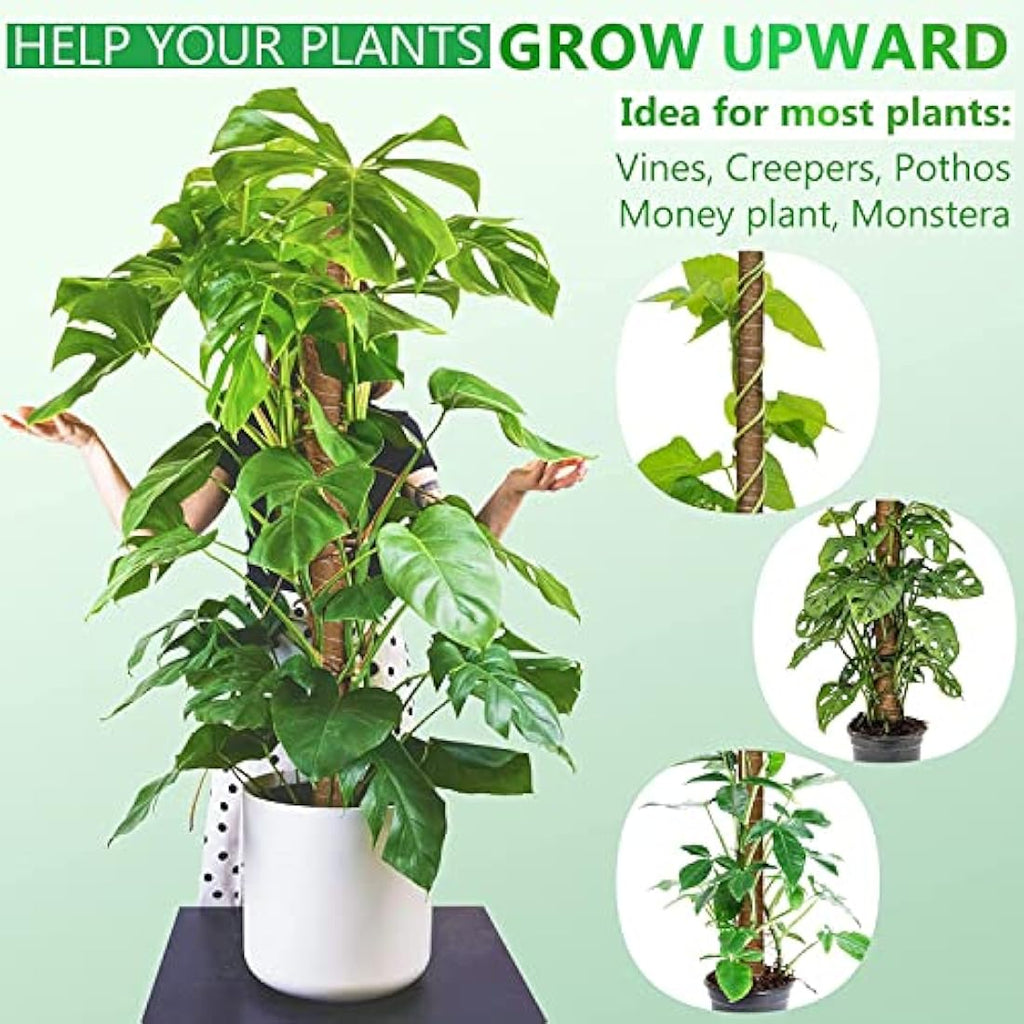 Jolof Store 56 Inch Moss Pole for Monstera | 4 Pcs Coir Totem Pole Set