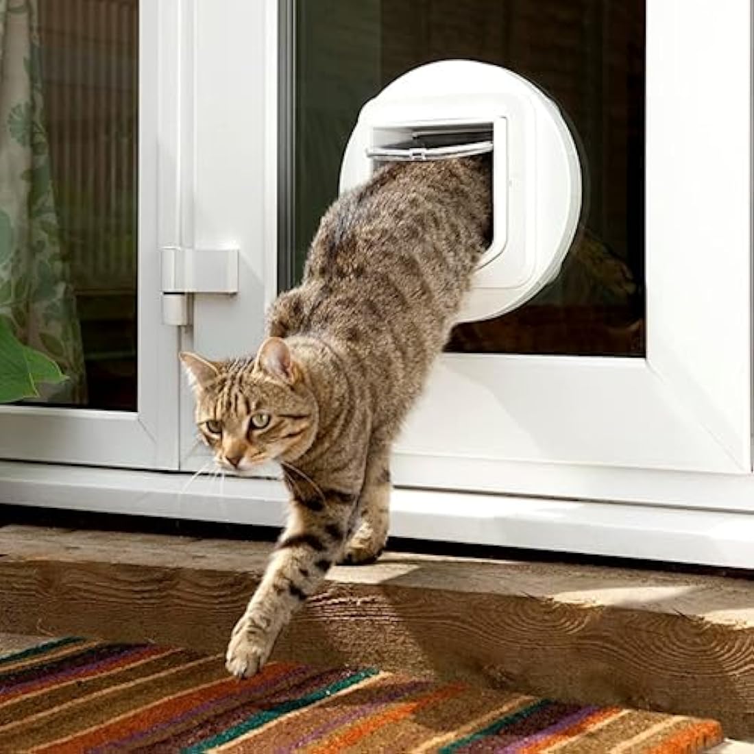 Sure Petcare Microchip Cat Flap – RFID Selective Entry Pet Door, White