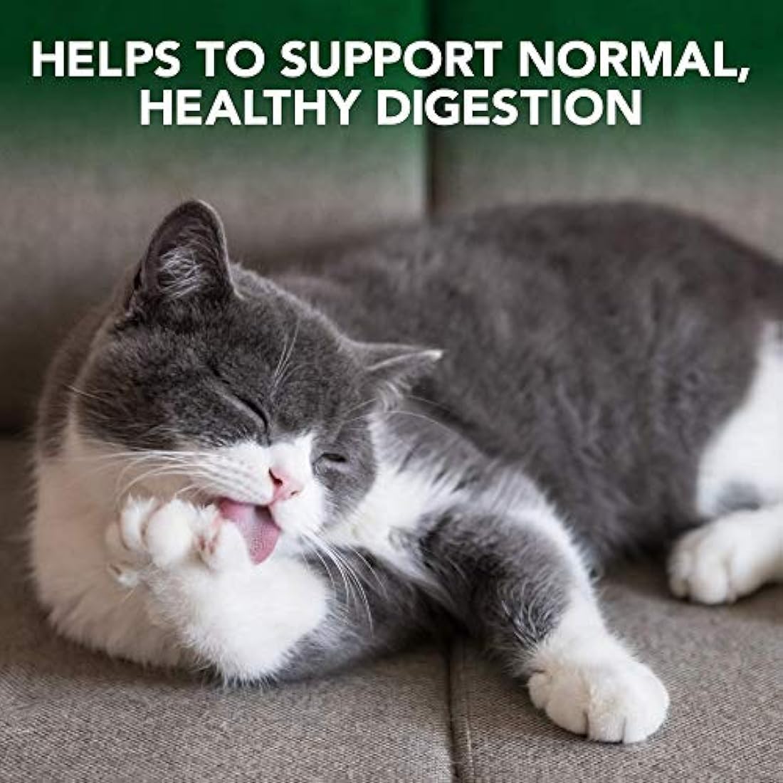 Vet's Best Cat Hairball Relief Digestive Aid Gel – Chicken Flavor 100g