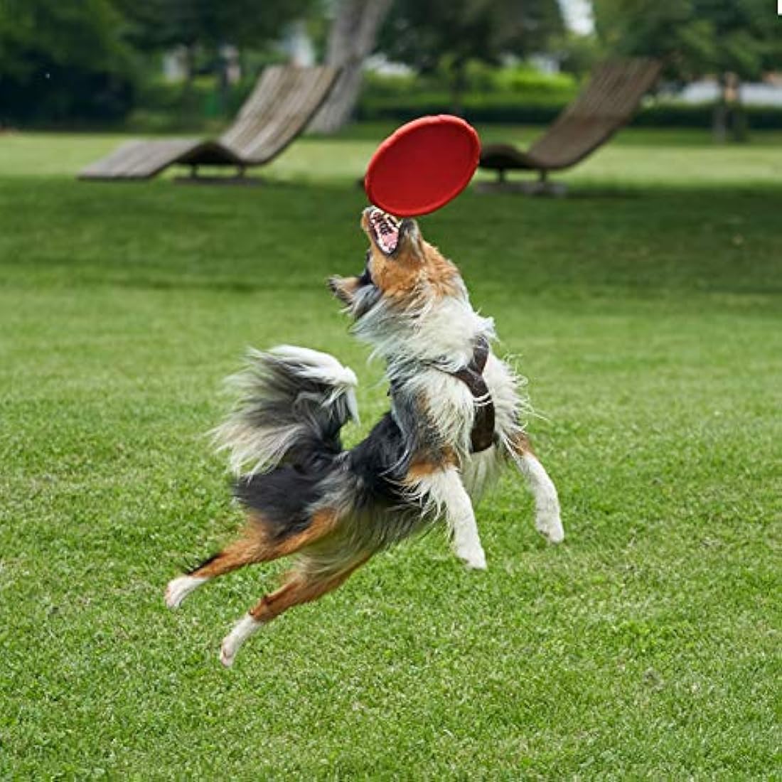 Dog Flying Disc – 2 Pack 7 Inch Floating Rubber Fetch Toy